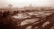 Церковь Введения во храм Пресвятой Богородицы, Фото 1942 г. с аукциона e-bay.de<br>, Белица, Беловский район, Курская область