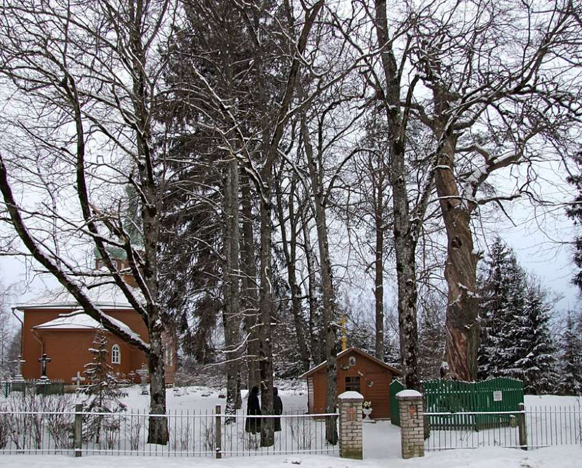 Куремяэ. Успенский Пюхтицкий женский монастырь. Часовня Успения Пресвятой Богородицы у дуба. общий вид в ландшафте, Часовня возле дуба, на котором была обрéтена чудотворная икона Успения Божией Матери. Справа за зеленой оградой – дуб, слева – Никольский храм