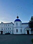 Церковь Владимирской иконы Божией Матери в Вишенках, , Кстово, Кстовский район, Нижегородская область