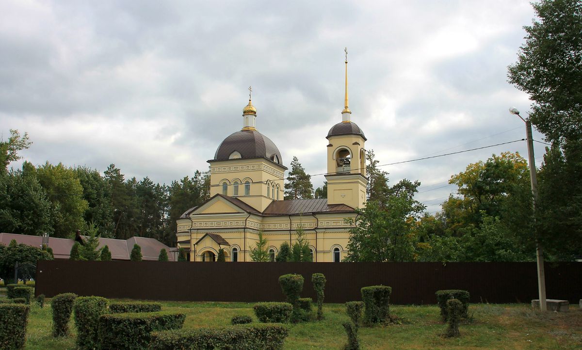 Церковь Петра и Павла, Воронеж (Воронеж, город, Воронежская область). общий вид в ландшафте