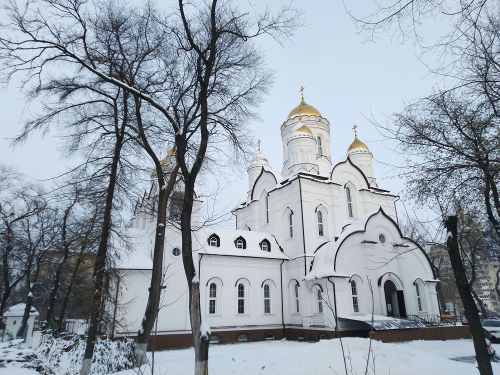 Воронеж. Церковь Рождества Христова. фасады