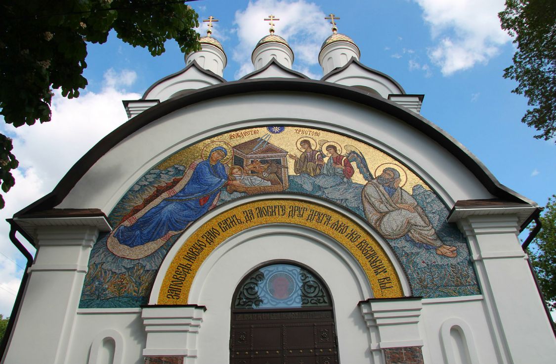 Церковь Рождества Христова, Воронеж (Воронеж, город, Воронежская область). фасады, Мозайка над входом