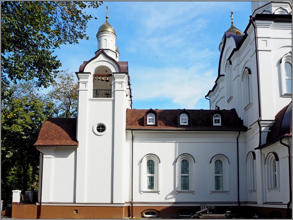 Церковь Рождества Христова, Воронеж (Воронеж, город, Воронежская область). архитектурные детали