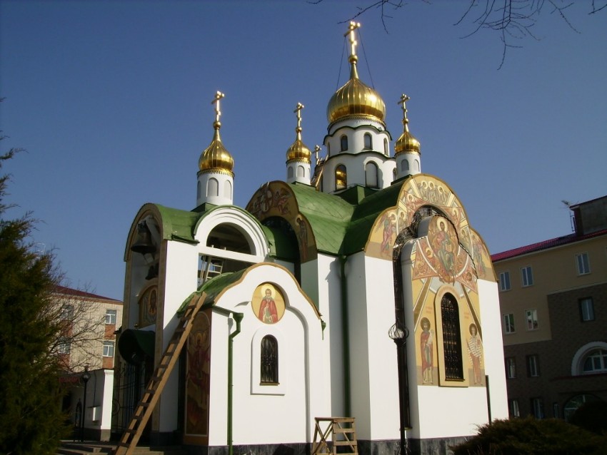 Церковь Пантелеимона Целителя при Онкологическом институте, Ростов-на-Дону (Ростов-на-Дону, город, Ростовская область). фасады, Вид  с  юга