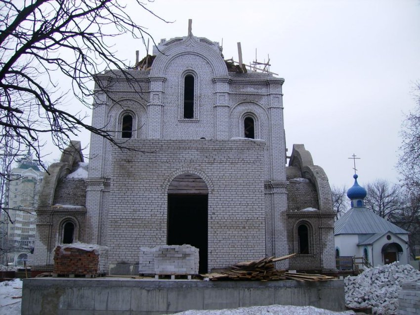 Воронеж. Церковь Рождества Христова. документальные фотографии, Вид с запада