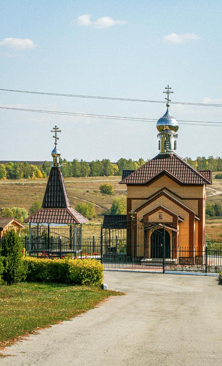 Церковь Казанской иконы Божией Матери, Барсуково (Становлянский район, Липецкая область). общий вид в ландшафте