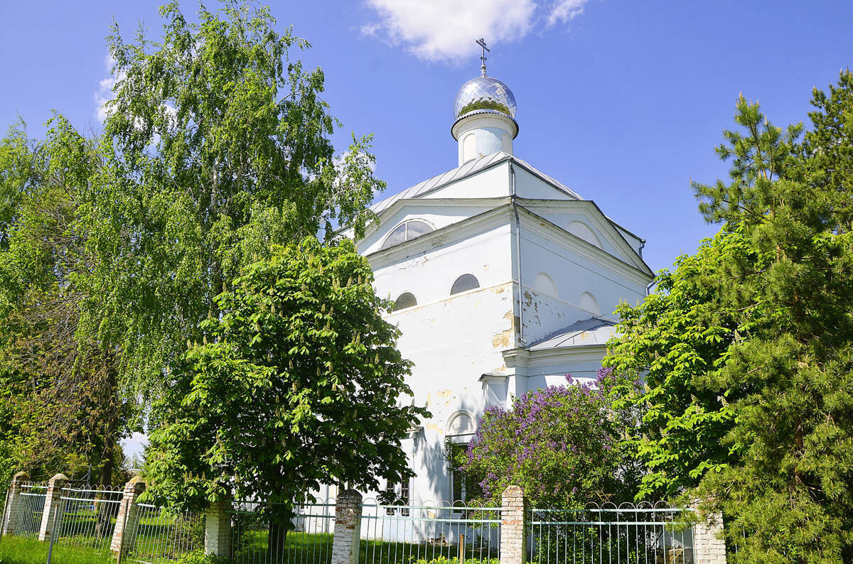 Церковь Покрова Пресвятой Богородицы, Благодать (Ефремовский район, Тульская область). архитектурные детали