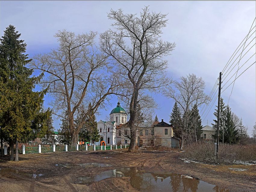 Толши. Толшевский Спасо-Преображенский женский монастырь. общий вид в ландшафте