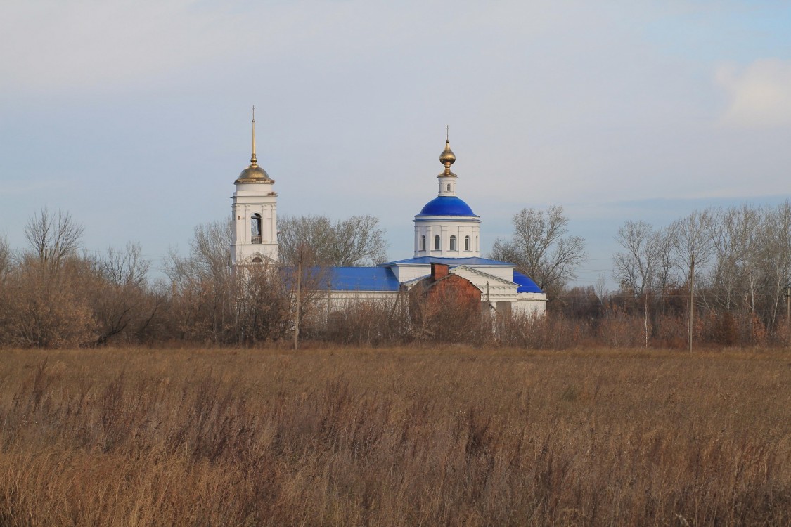 Церковь Казанской иконы Божией Матери, Большое Самарино (Ряжский район, Рязанская область). общий вид в ландшафте
