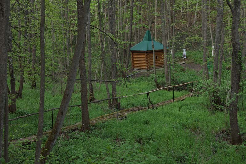 Часовня Иерусалимской иконы Божией Матери, Кретовка (Людиновский район, Калужская область). общий вид в ландшафте, Часовня-купальня