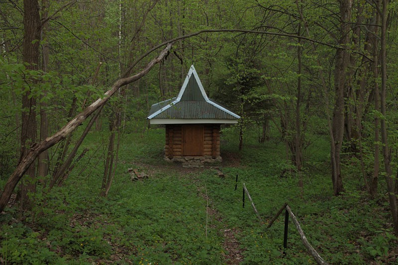 Часовня Иерусалимской иконы Божией Матери, Кретовка (Людиновский район, Калужская область). общий вид в ландшафте, Часовня