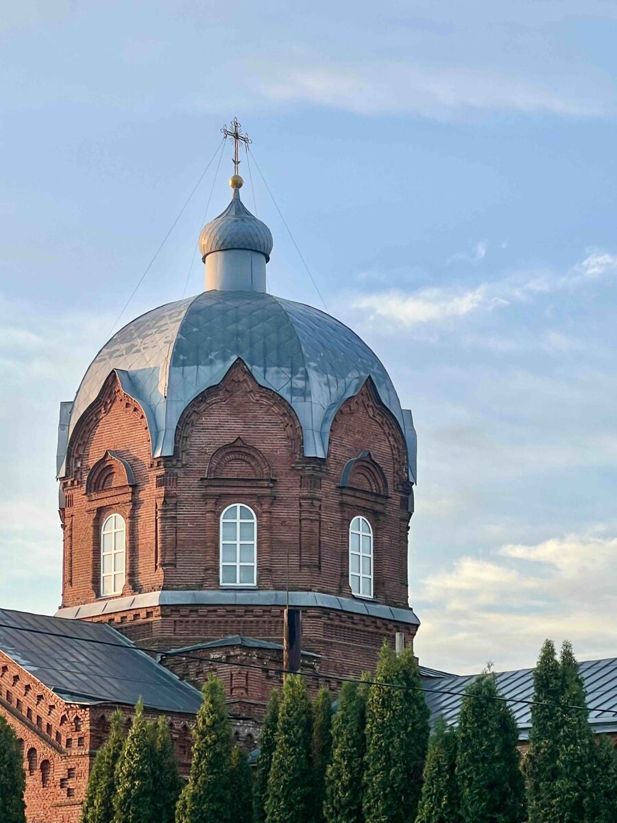 Церковь Параскевы Пятницы, Гудово (Добровский район, Липецкая область). архитектурные детали