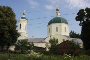 Церковь Михаила Архангела, , Кривополянье, Чаплыгинский район, Липецкая область