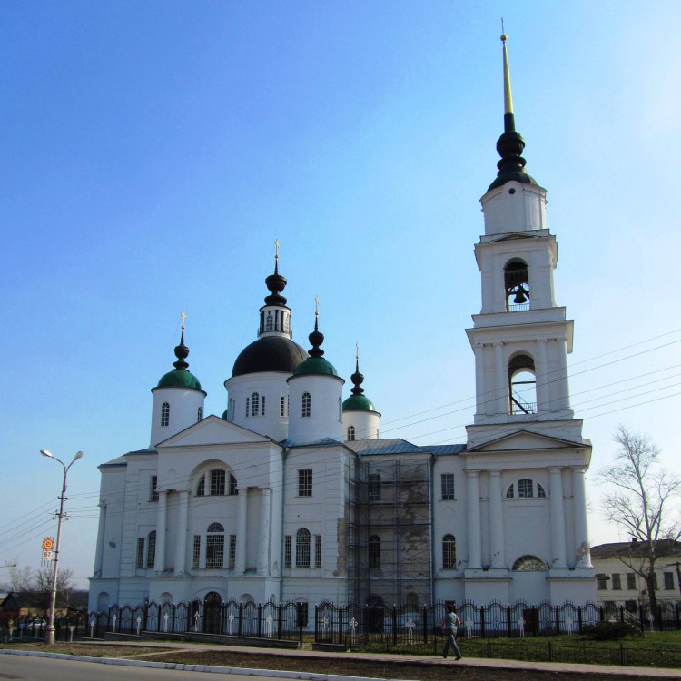 Собор Троицы Живоначальной, Чаплыгин (Чаплыгинский район, Липецкая область). документальные фотографии, северный фасад