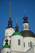 Собор Троицы Живоначальной, , Чаплыгин, Чаплыгинский район, Липецкая область