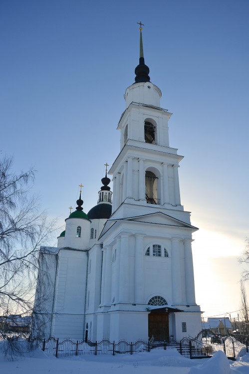 Собор Троицы Живоначальной, Чаплыгин (Чаплыгинский район, Липецкая область). фасады