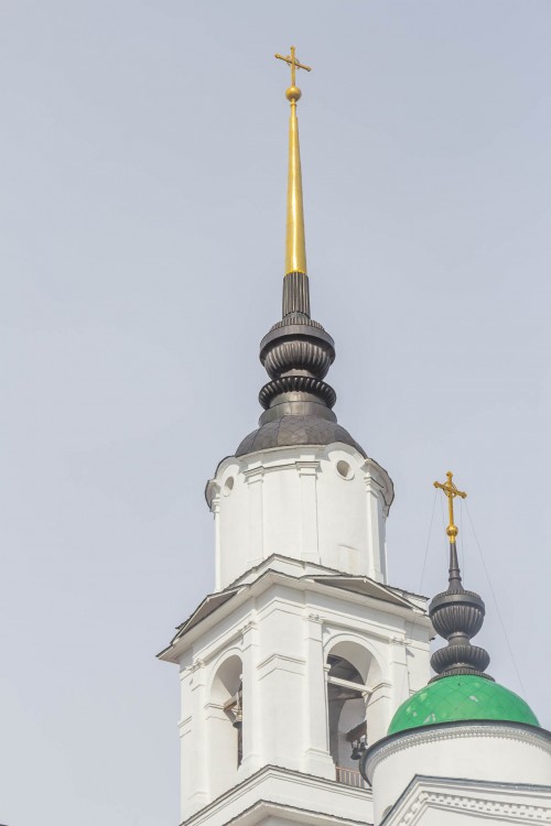 Собор Троицы Живоначальной, Чаплыгин (Чаплыгинский район, Липецкая область). архитектурные детали