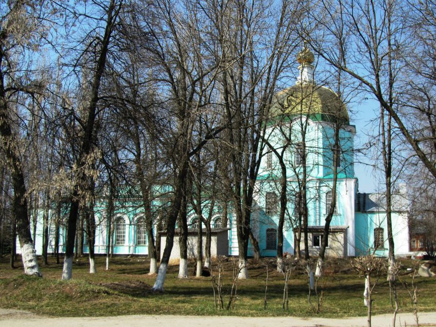 Церковь Вознесения Господня, Чаплыгин (Чаплыгинский район, Липецкая область). фасады, вид из парка, южный фасад