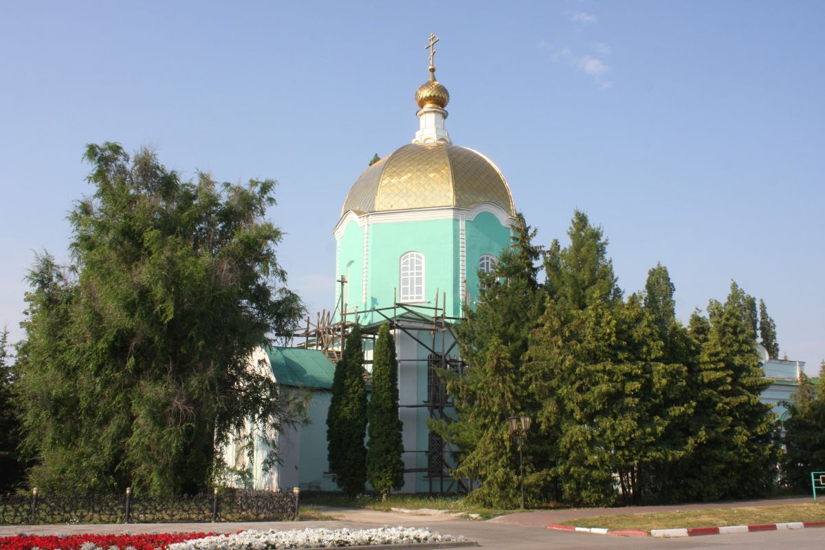 Чаплыгин. Церковь Вознесения Господня. фасады