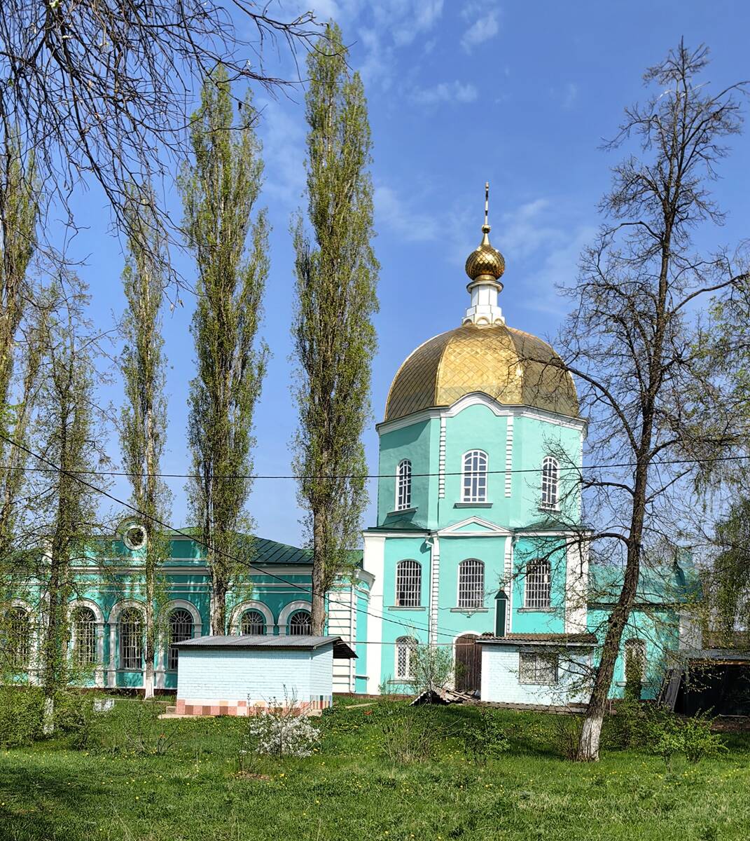 Церковь Вознесения Господня, Чаплыгин (Чаплыгинский район, Липецкая область). фасады