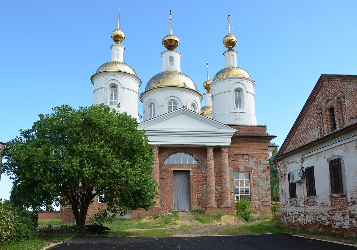 Вид с юга, фасады. Раненбургская Петропавловская пустынь. Собор Петра и Павла, Рощинский (Чаплыгинский район, Липецкая область)