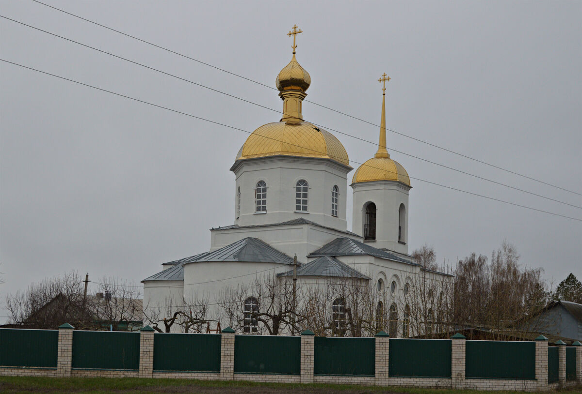 Церковь Александра Невского, Воловчик (Воловский район, Липецкая область). фасады