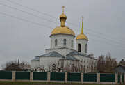 Церковь Александра Невского, , Воловчик, Воловский район, Липецкая область