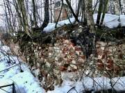 Васютино. Покрова Пресвятой Богородицы, церковь