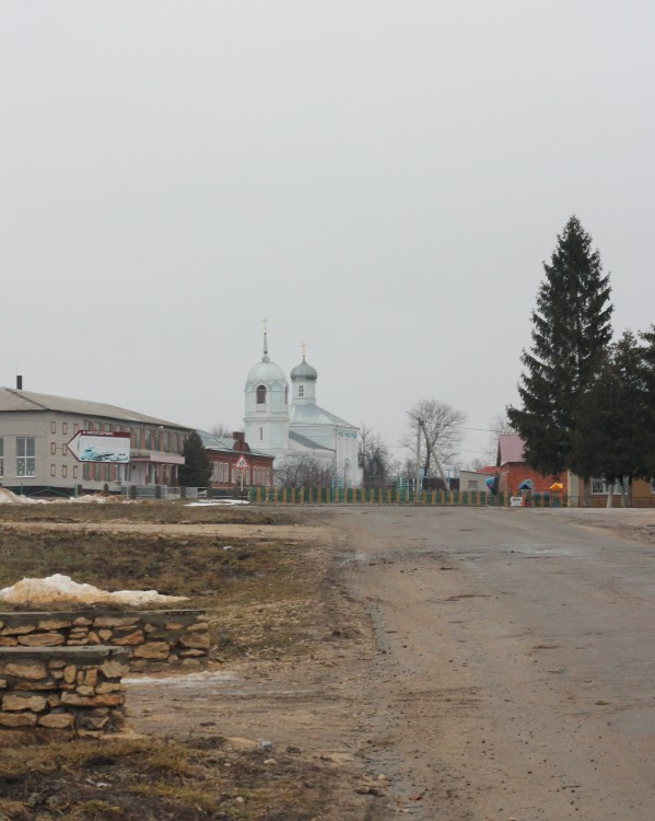 Введенка. Церковь Введения во храм Пресвятой Богородицы. общий вид в ландшафте