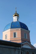 Церковь Николая Чудотворца, , Курино, Хлевенский район, Липецкая область