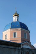 Церковь Николая Чудотворца, , Курино, Хлевенский район, Липецкая область