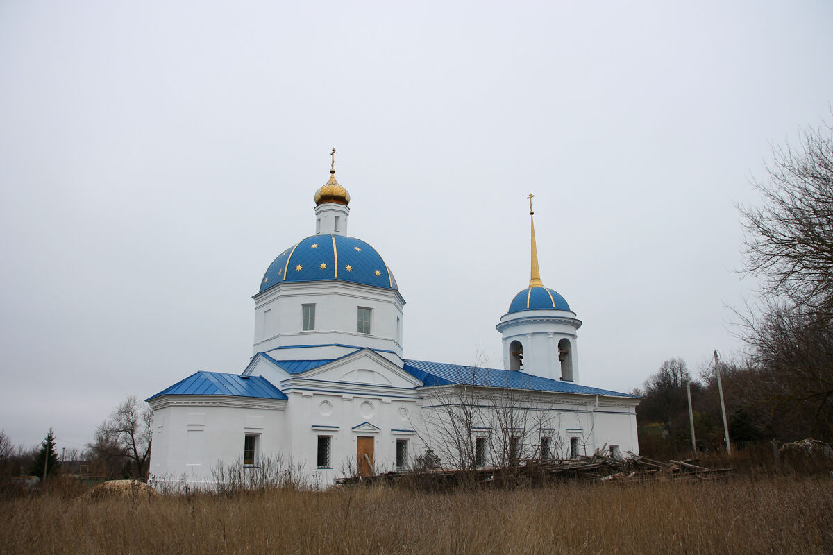Церковь Николая Чудотворца, Курино (Хлевенский район, Липецкая область). общий вид в ландшафте, Церковь Николая Чудотворца