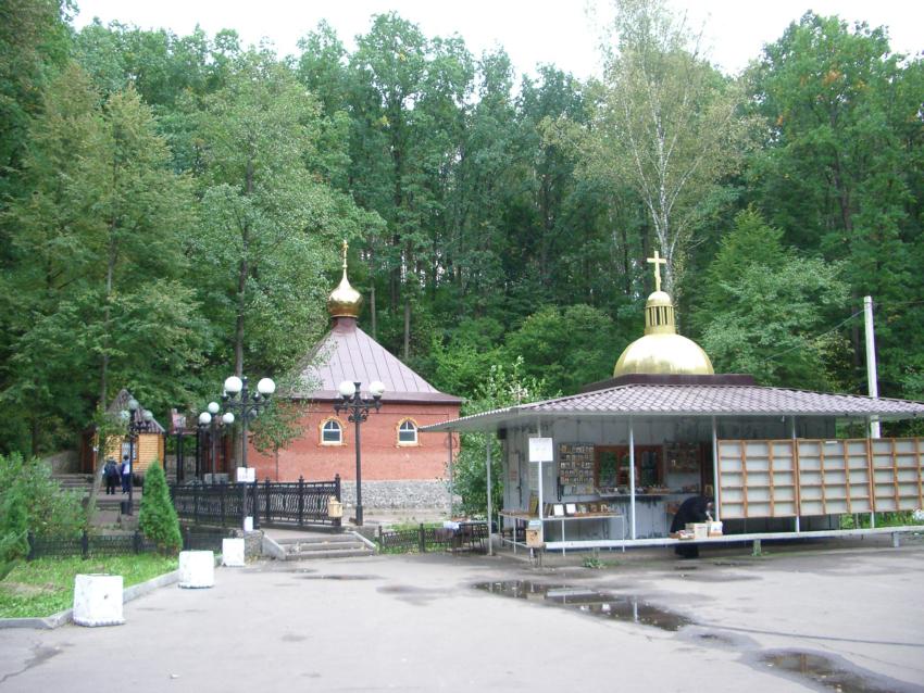 Скит, урочище. Тихоновский Преображенский женский монастырь. Часовня-купель над источником Тихона Задонского. общий вид в ландшафте