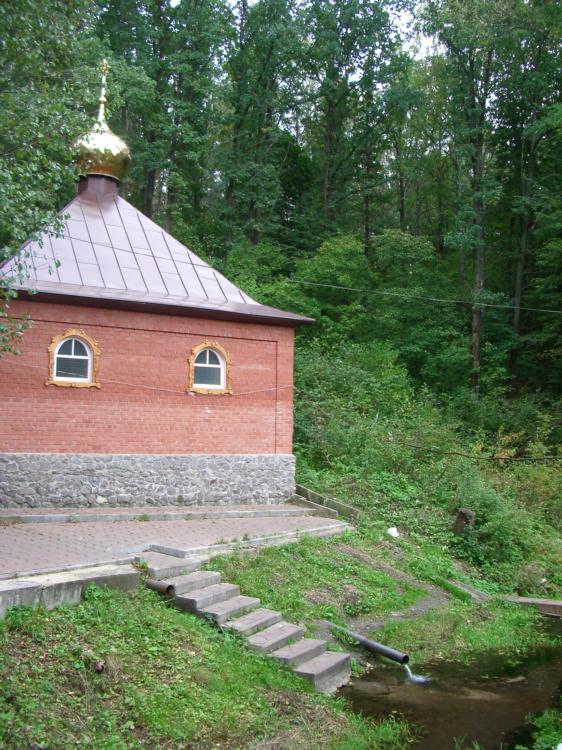 Скит, урочище. Тихоновский Преображенский женский монастырь. Часовня-купель над источником Тихона Задонского. фасады