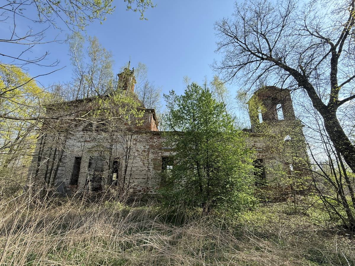 Церковь Троицы Живоначальной, Афанасьево (Алексинский район и пос. Новогуровский, Тульская область). фасады, Вид с севера