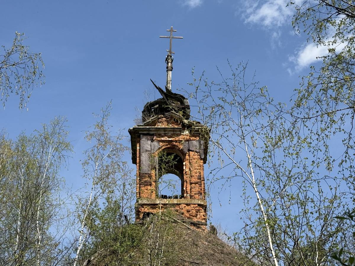 Церковь Троицы Живоначальной, Афанасьево (Алексинский район и пос. Новогуровский, Тульская область). архитектурные детали
