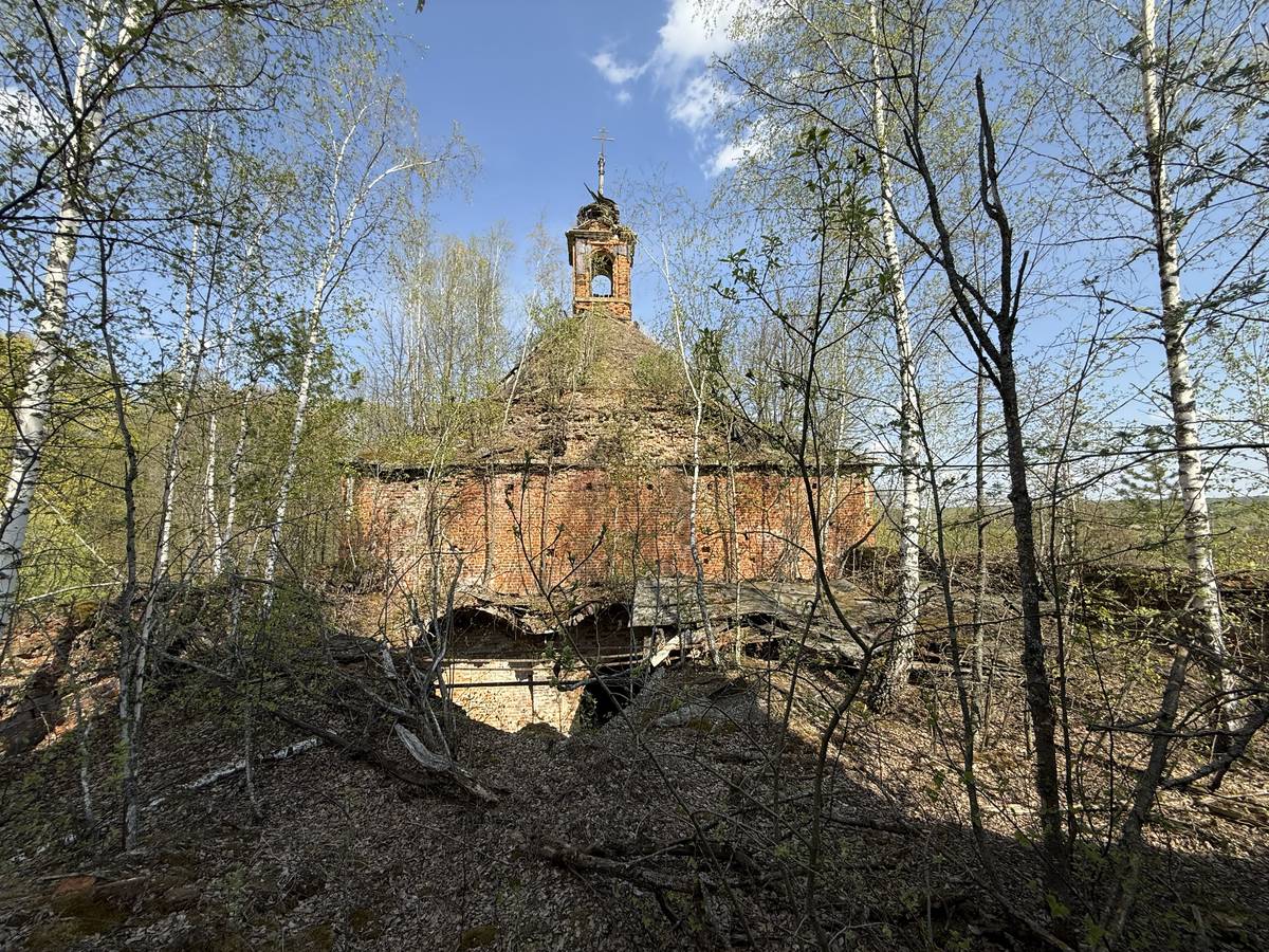 Церковь Троицы Живоначальной, Афанасьево (Алексинский район и пос. Новогуровский, Тульская область). фасады, Вид с колокольни на восток
