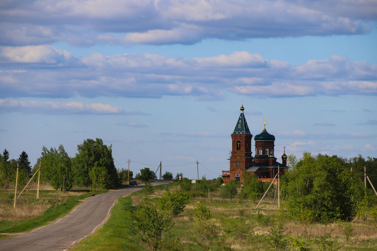 Церковь Димитрия Солунского, Избищи (Данковский район, Липецкая область). общий вид в ландшафте