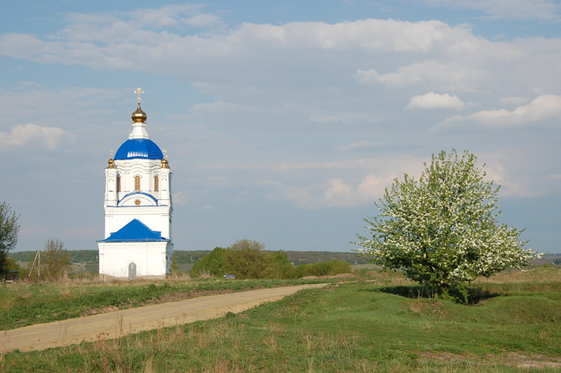 Ретяжи. Церковь Воскресения Словущего. общий вид в ландшафте