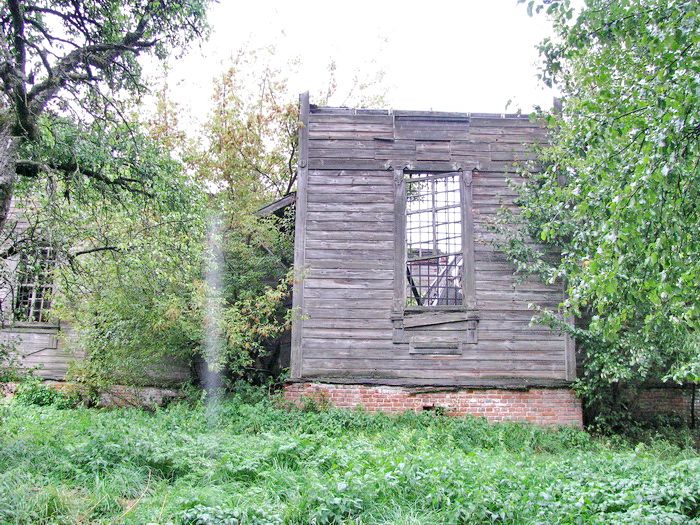Церковь Троицы Живоначальной, Селище (Почепский район, Брянская область). фасады