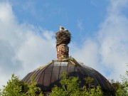 Церковь Троицы Живоначальной - Ободово (Старое Ободово) - Спировский район - Тверская область