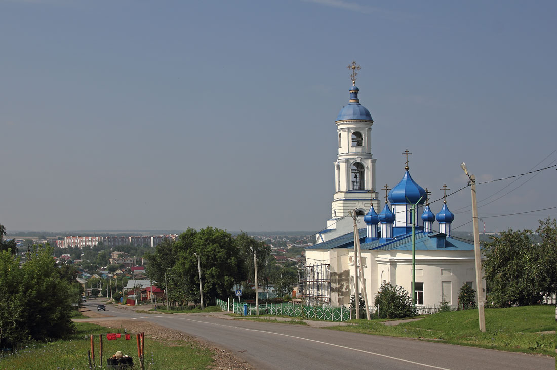 Церковь Димитрия Солунского, Каменка (Каменский район, Пензенская область). общий вид в ландшафте