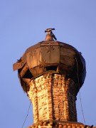 Церковь Димитрия Солунского - Широгорье - Вологодский район - Вологодская область