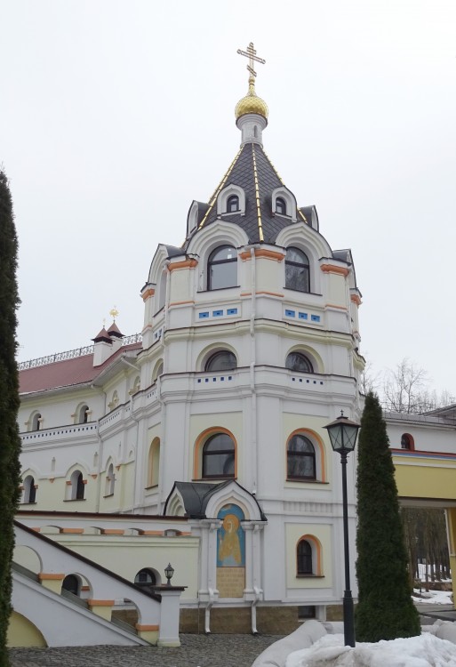 Елизаветинский женский монастырь, Минск (Минск, город, Беларусь, Минская область). фасады