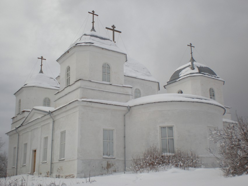 Церковь Троицы Живоначальной, Большое Городно (Валдайский район, Новгородская область). фасады