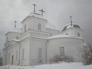 Церковь Троицы Живоначальной, , Большое Городно, Валдайский район, Новгородская область