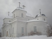 Церковь Троицы Живоначальной - Большое Городно - Валдайский район - Новгородская область