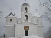 Церковь Троицы Живоначальной, , Большое Городно, Валдайский район, Новгородская область