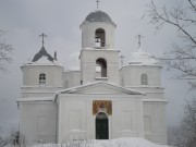 Церковь Троицы Живоначальной - Большое Городно - Валдайский район - Новгородская область