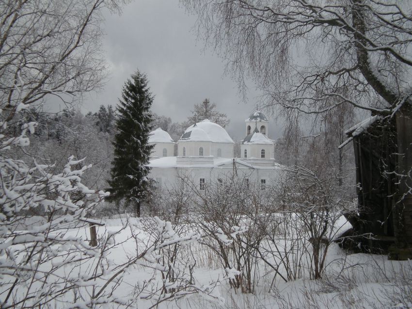 Церковь Троицы Живоначальной, Большое Городно (Валдайский район, Новгородская область). общий вид в ландшафте
